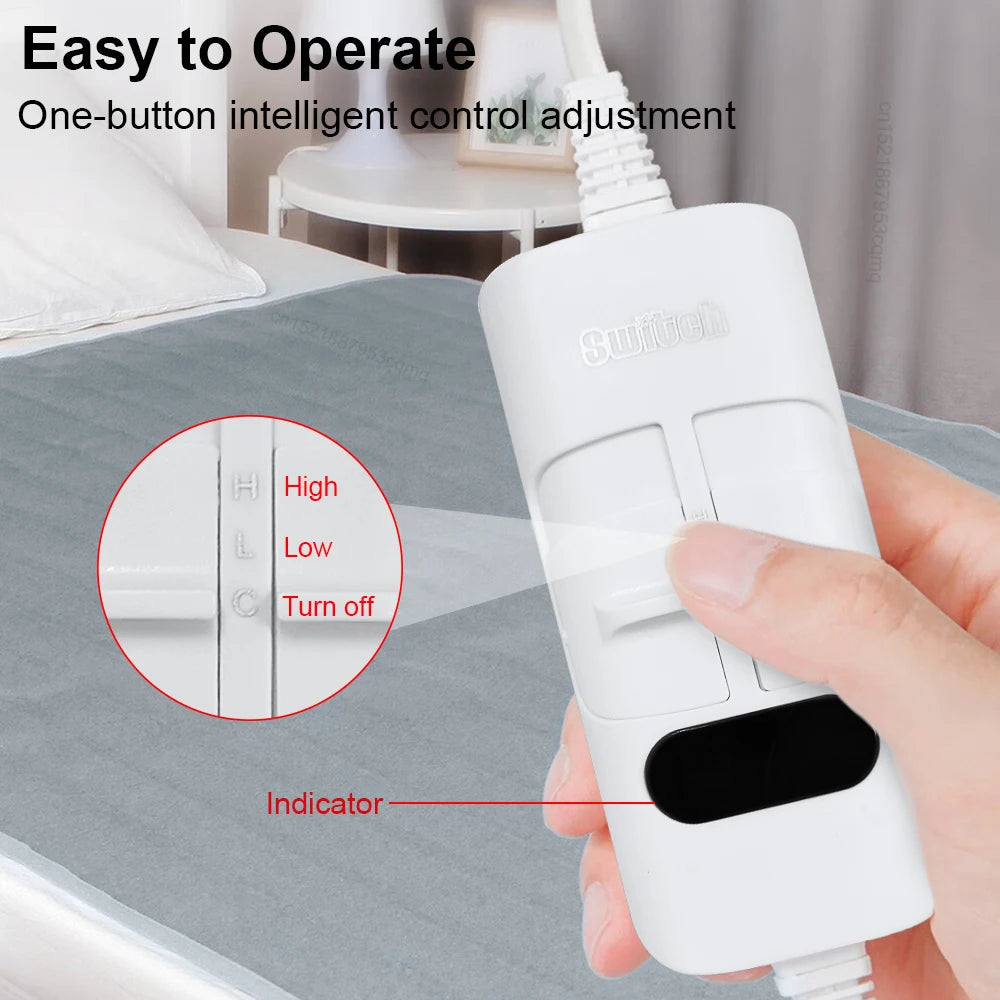 Thick Electric Heated Blanket 220V