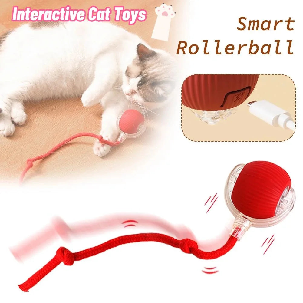 Smart Rollerball toy