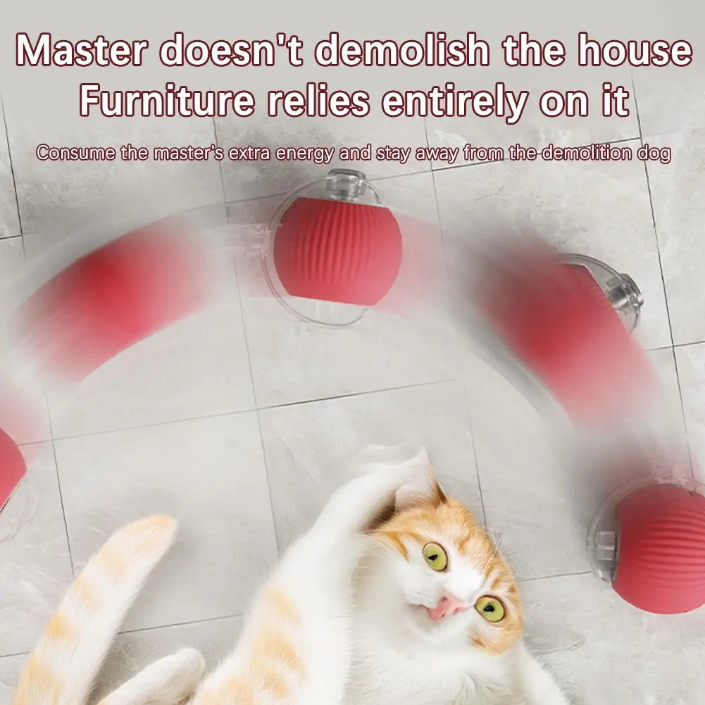 Smart Rollerball toy