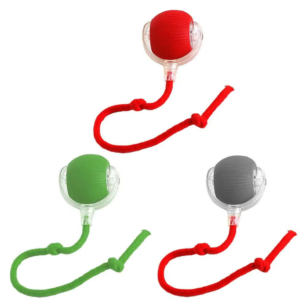 Smart Rollerball toy