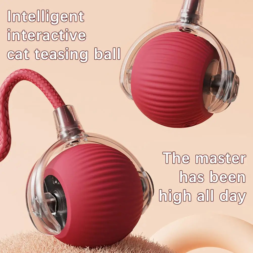 Smart Rollerball toy
