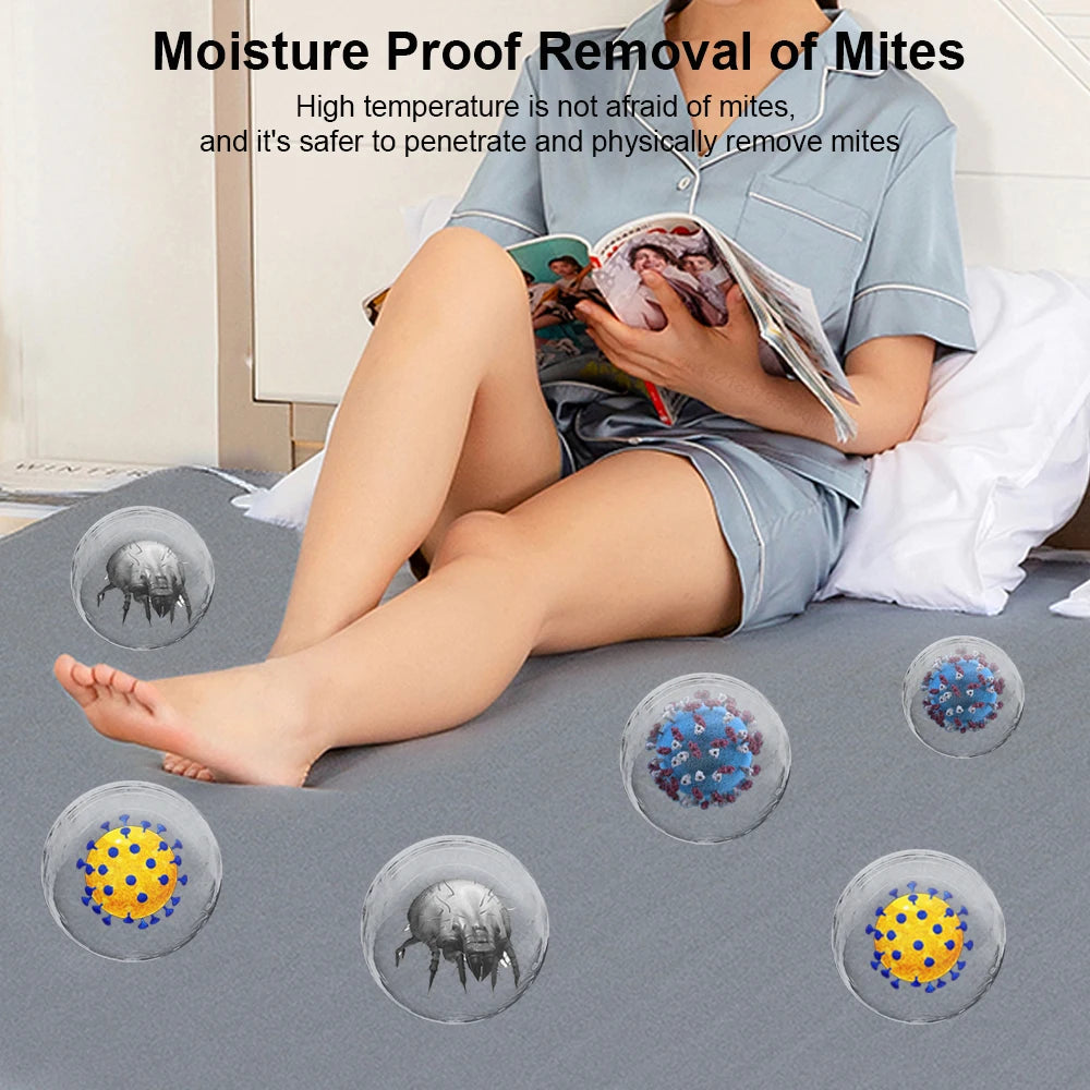 Thick Electric Heated Blanket 220V