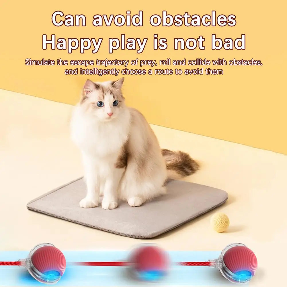 Smart Rollerball toy
