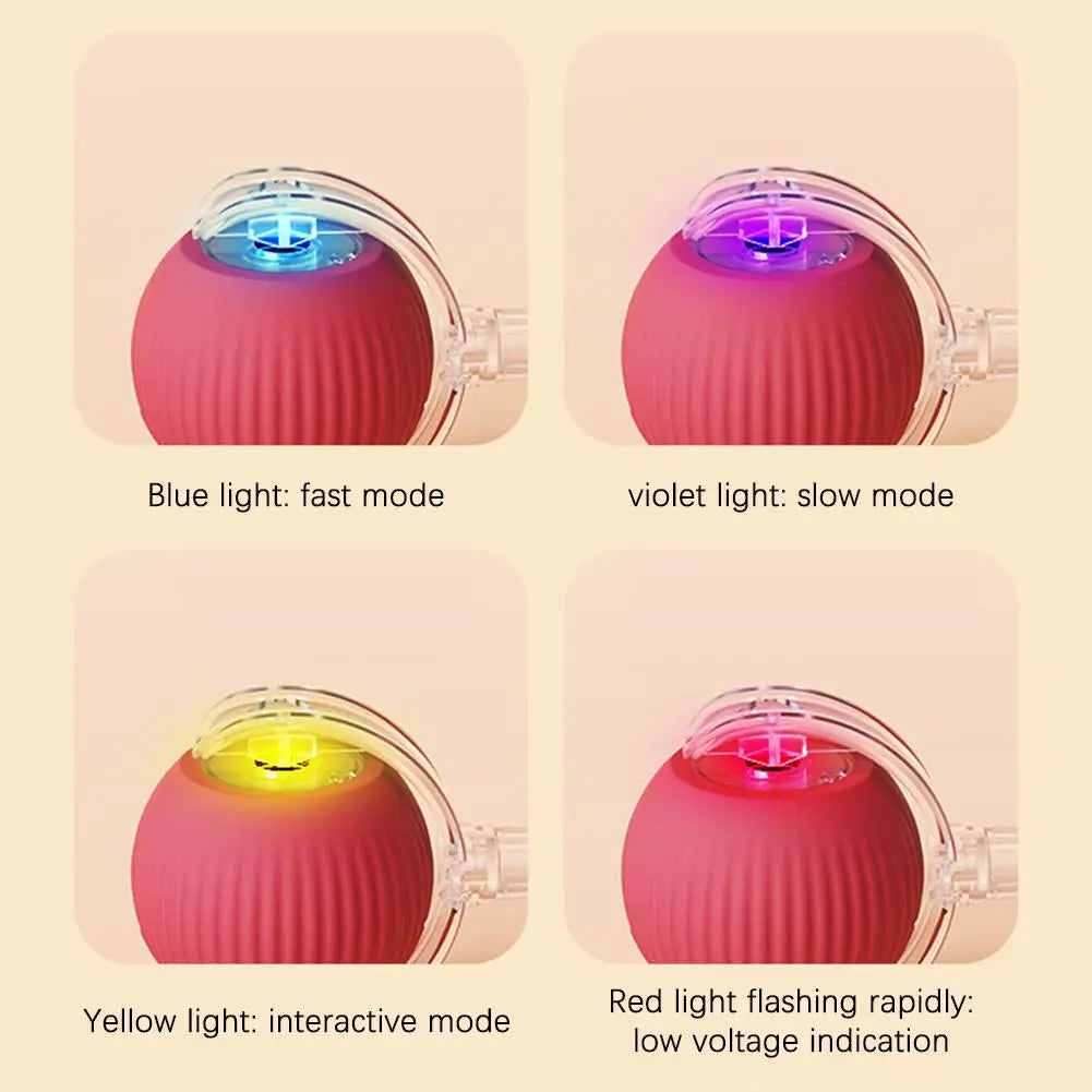 Smart Rollerball toy