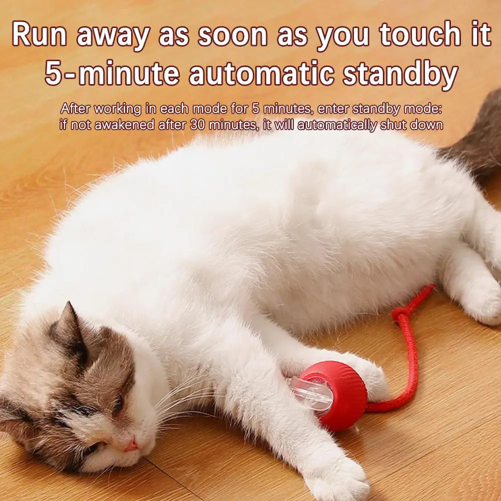 Smart Rollerball toy